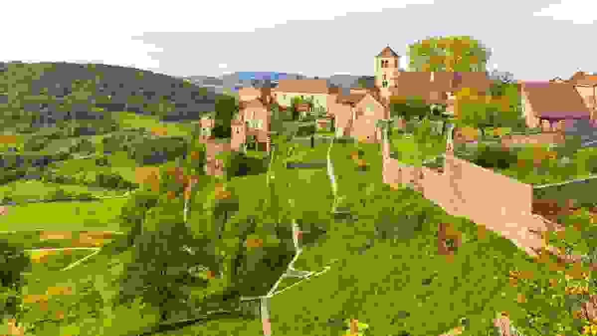 Section image