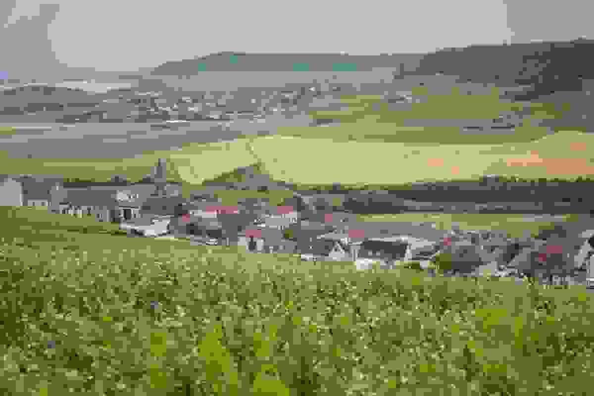 Section image