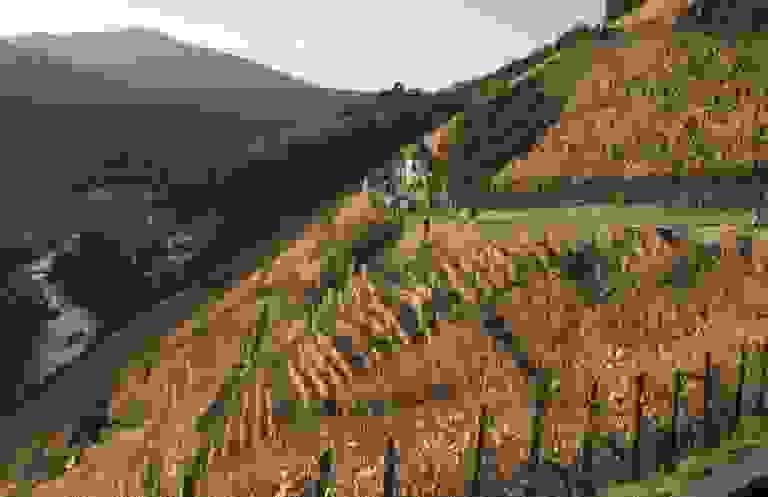 Section image