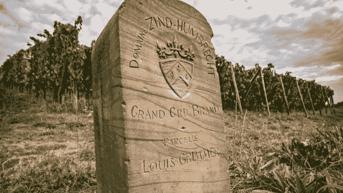 Section image