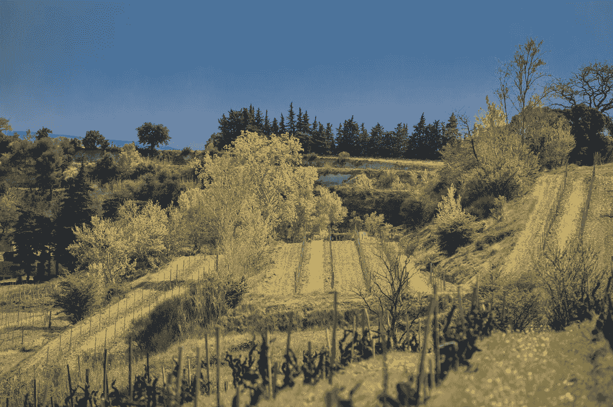 Section image