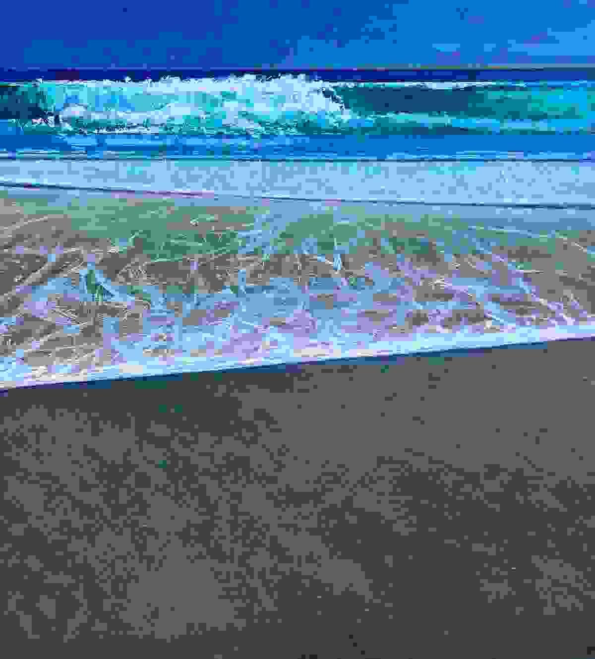 Section image