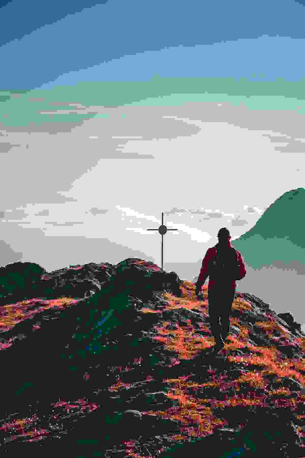 Section image