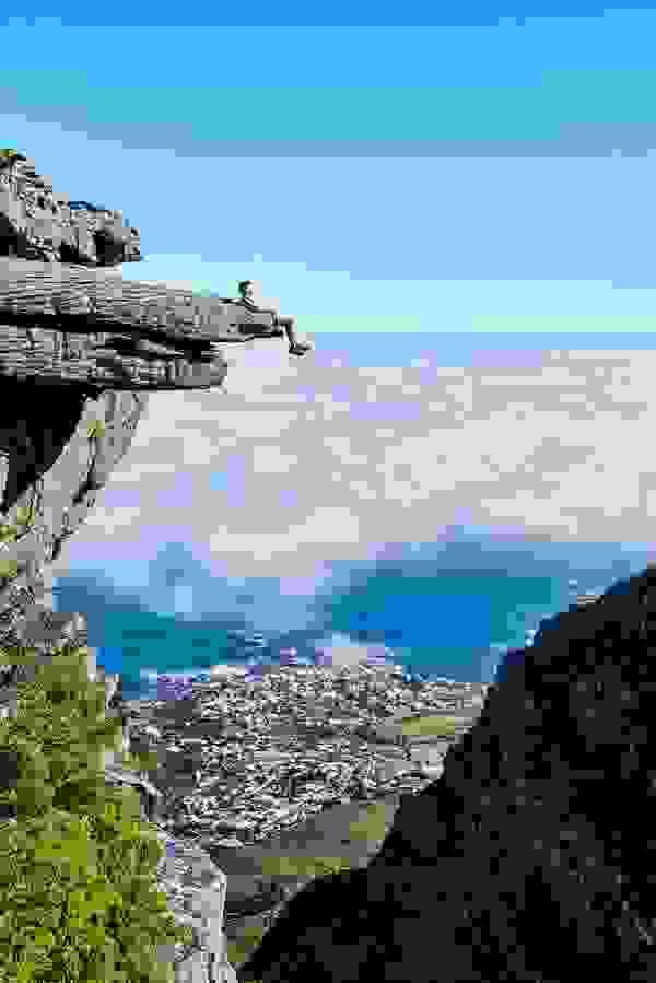 Section image