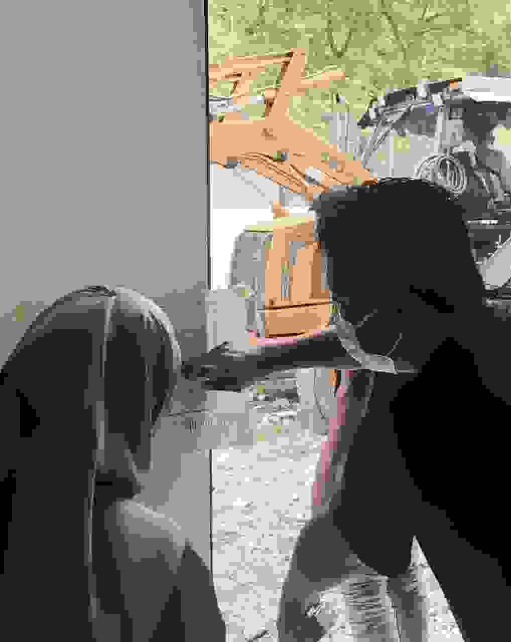 Section image