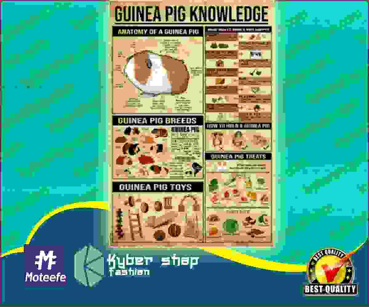 [AUTHENTIC] Guinea pig knowledge poster