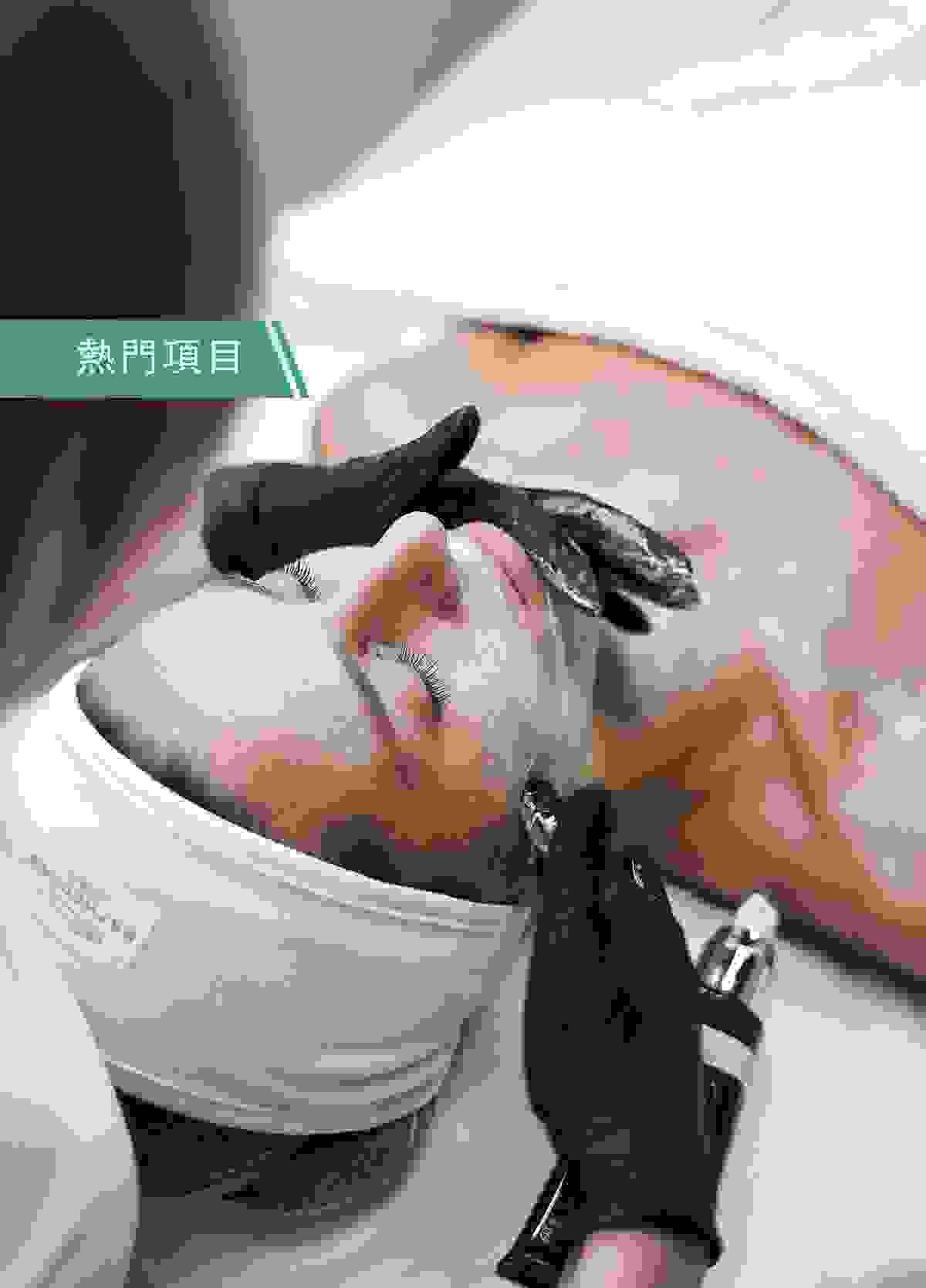Section image