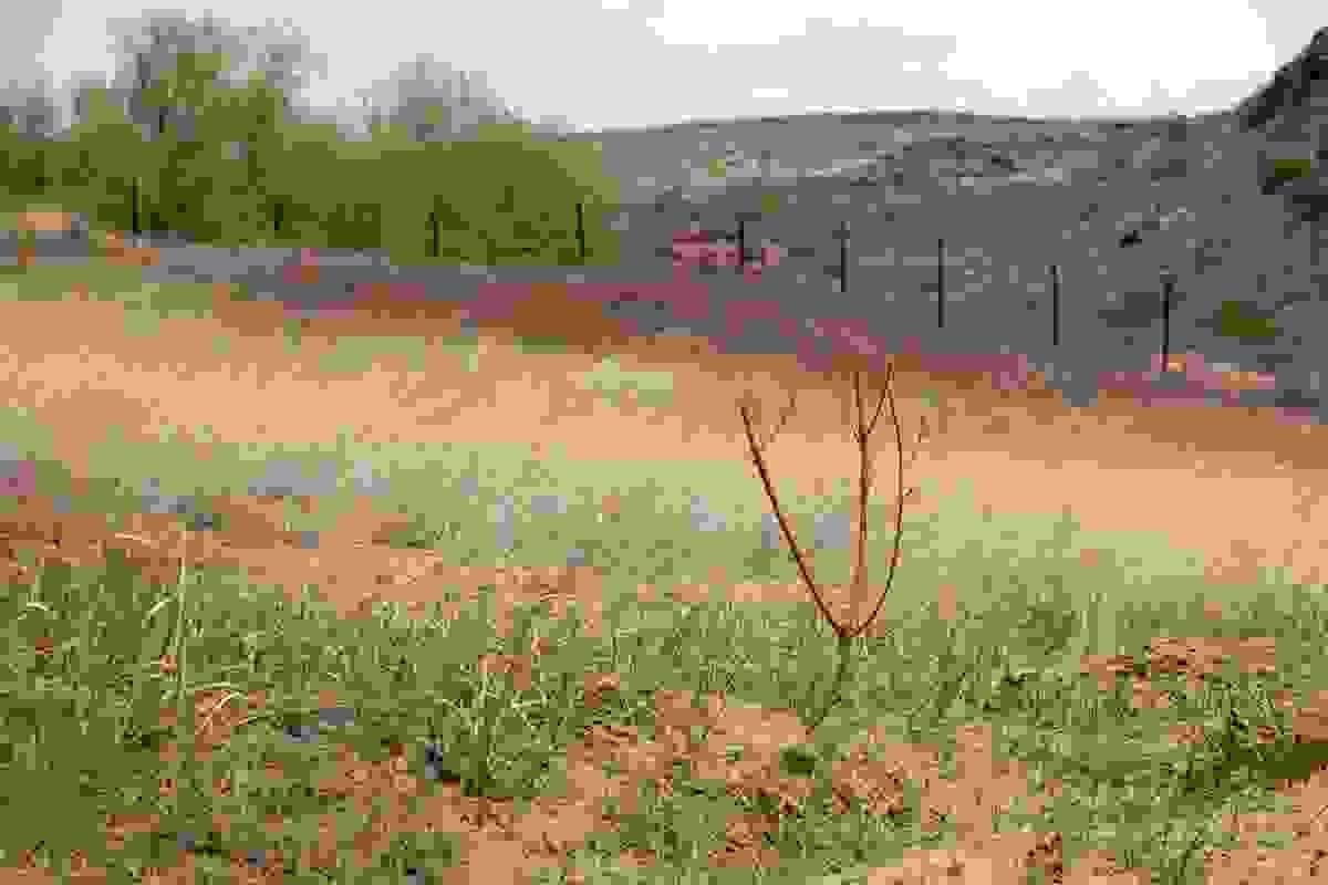 Section image
