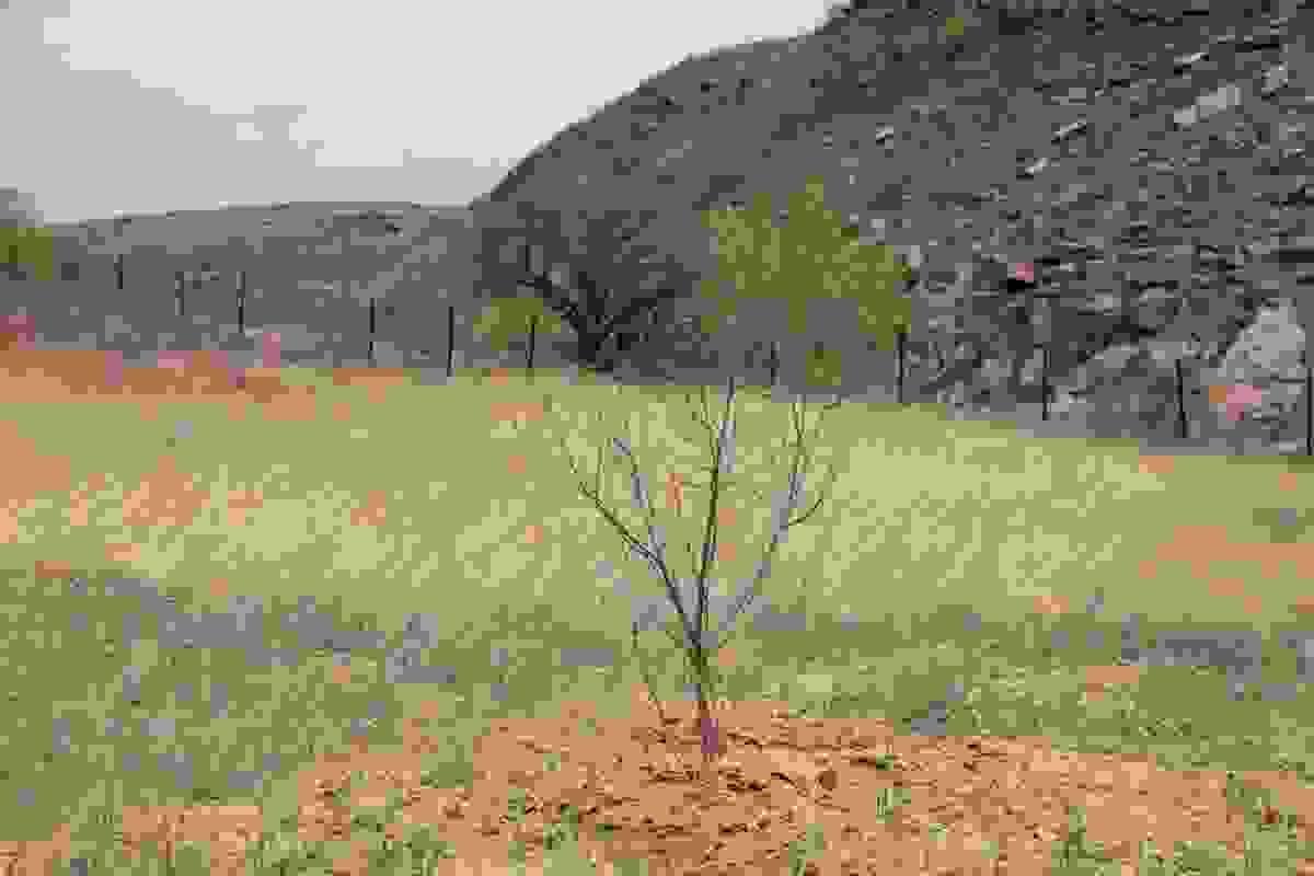 Section image