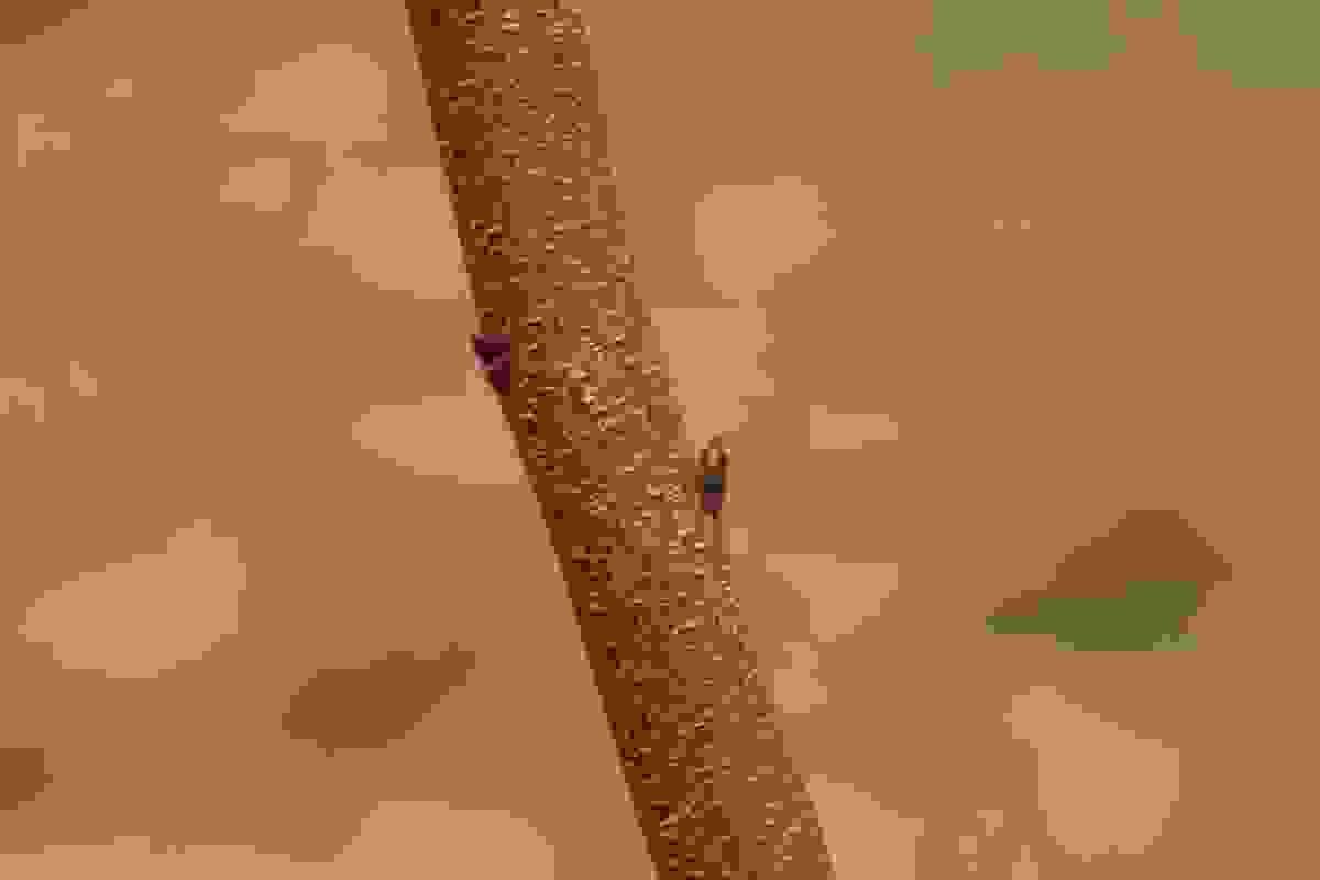 Section image