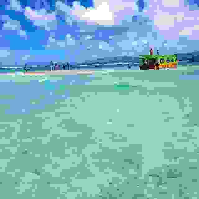 Section image