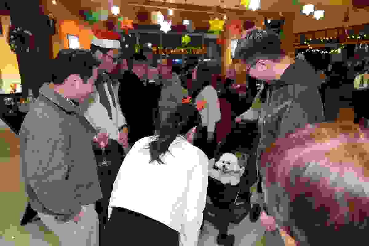 Section image