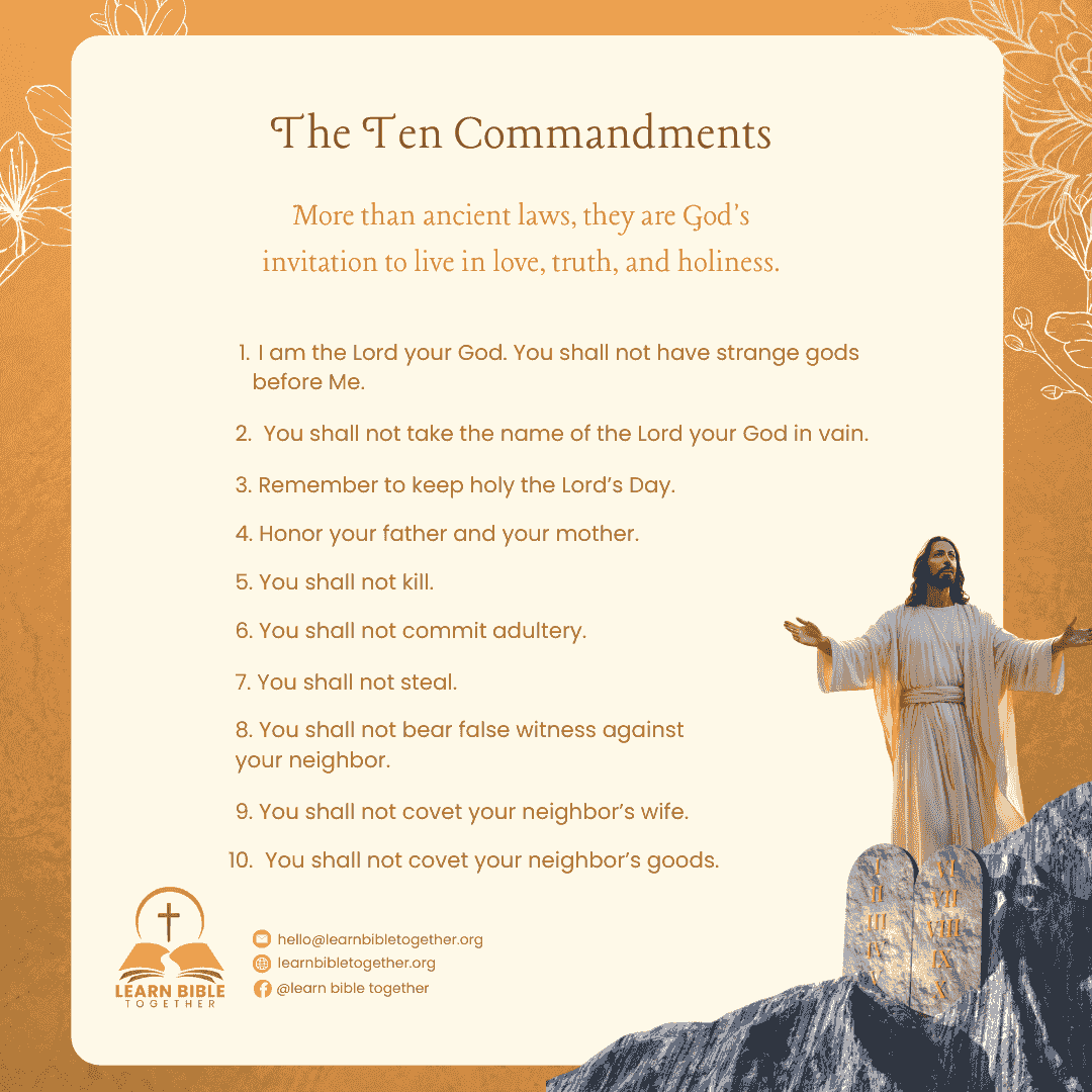 Access a variety of resources, including study guides, discussions, and multimedia tools to enhance your learning journey. Resources and Tools What We Offer Welcome to Learn Bible Together, a welcoming virtual community dedicated to deepening our understanding of the Bible while fostering meaningful relationships and meeting new friends. We hold free virtual bible study once a week 📖🤝🌟