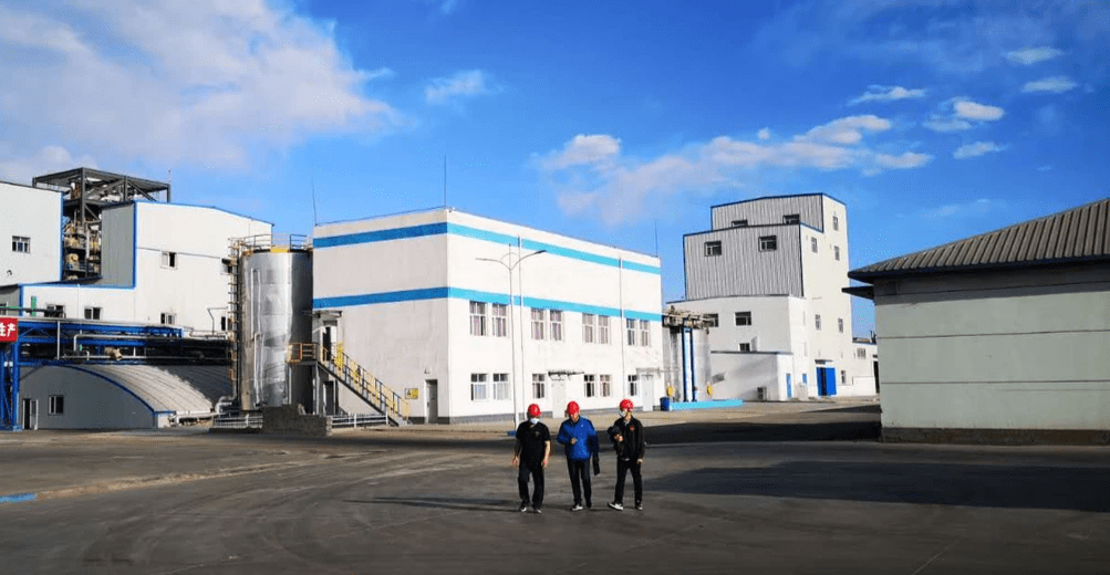 Salt plant