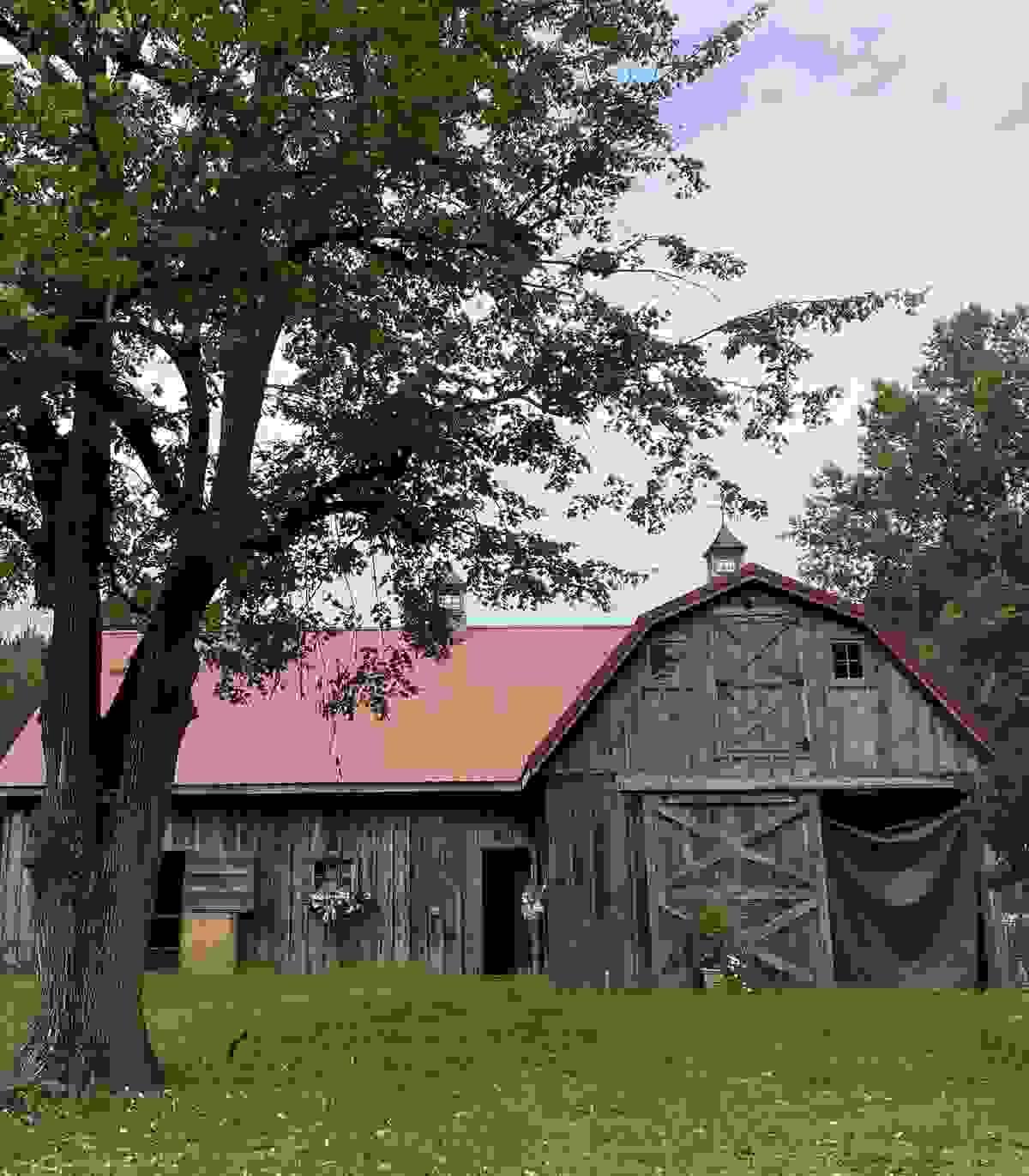 Section image