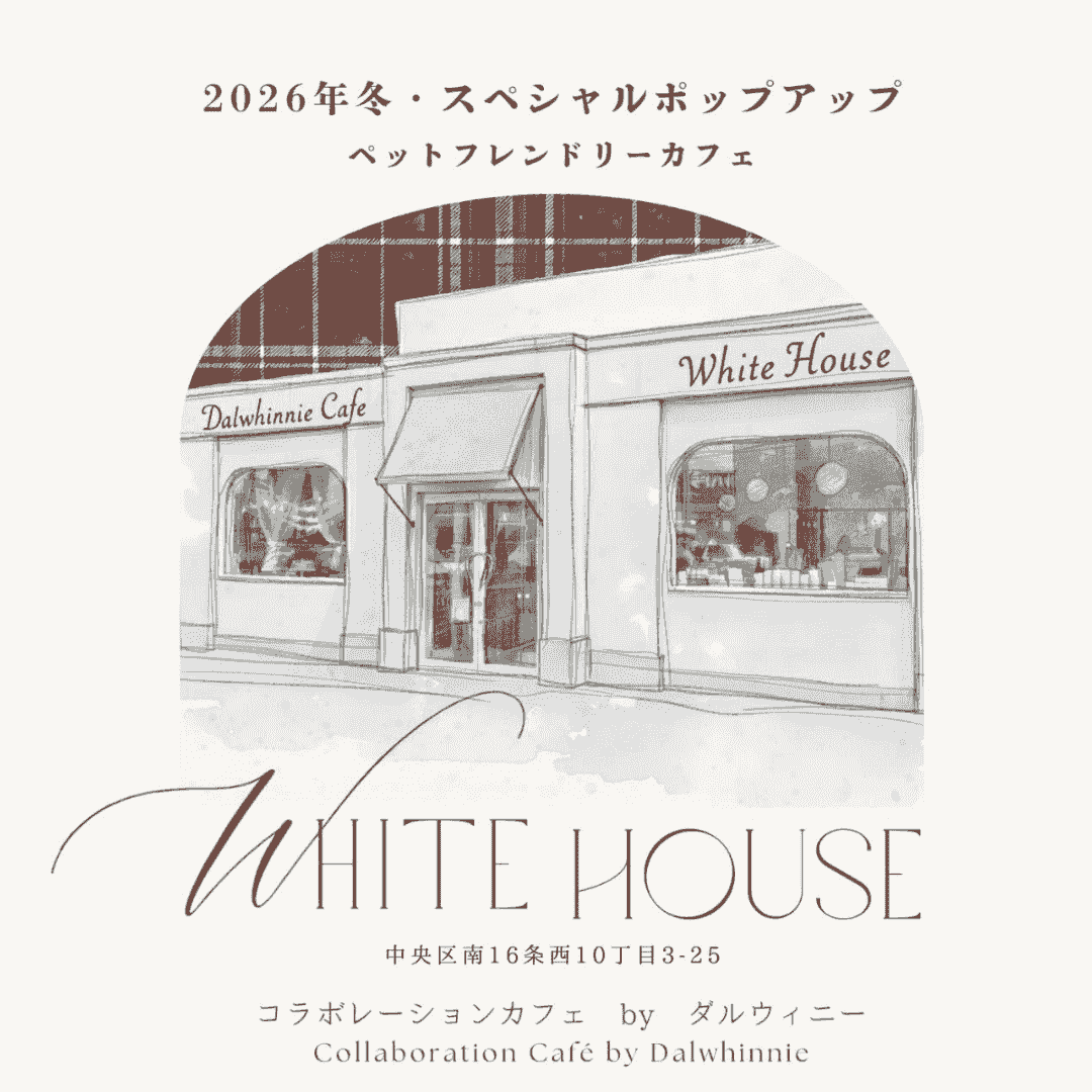 パスポート(年間・半年)のご案内|ダルウィニーエンターテイメントヴィレッジ札幌 パスポート(年間・半年)のご案内|ダルウィニーエンターテイメントヴィレッジ札幌