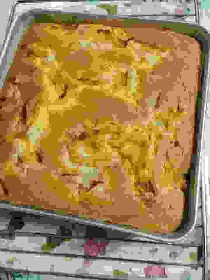 broken image