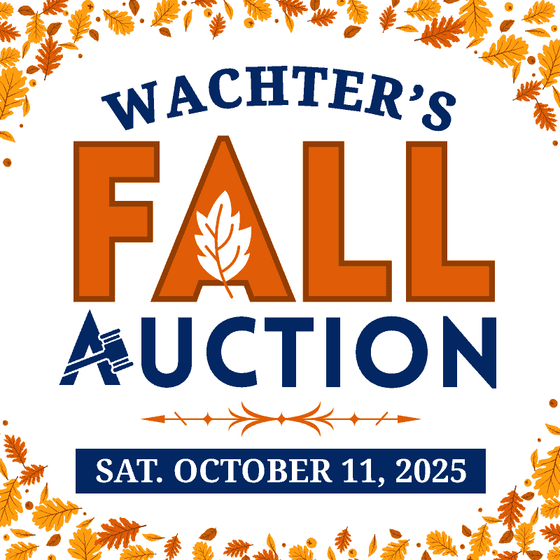 Fall Consignment Auction