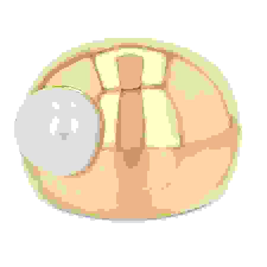broken image