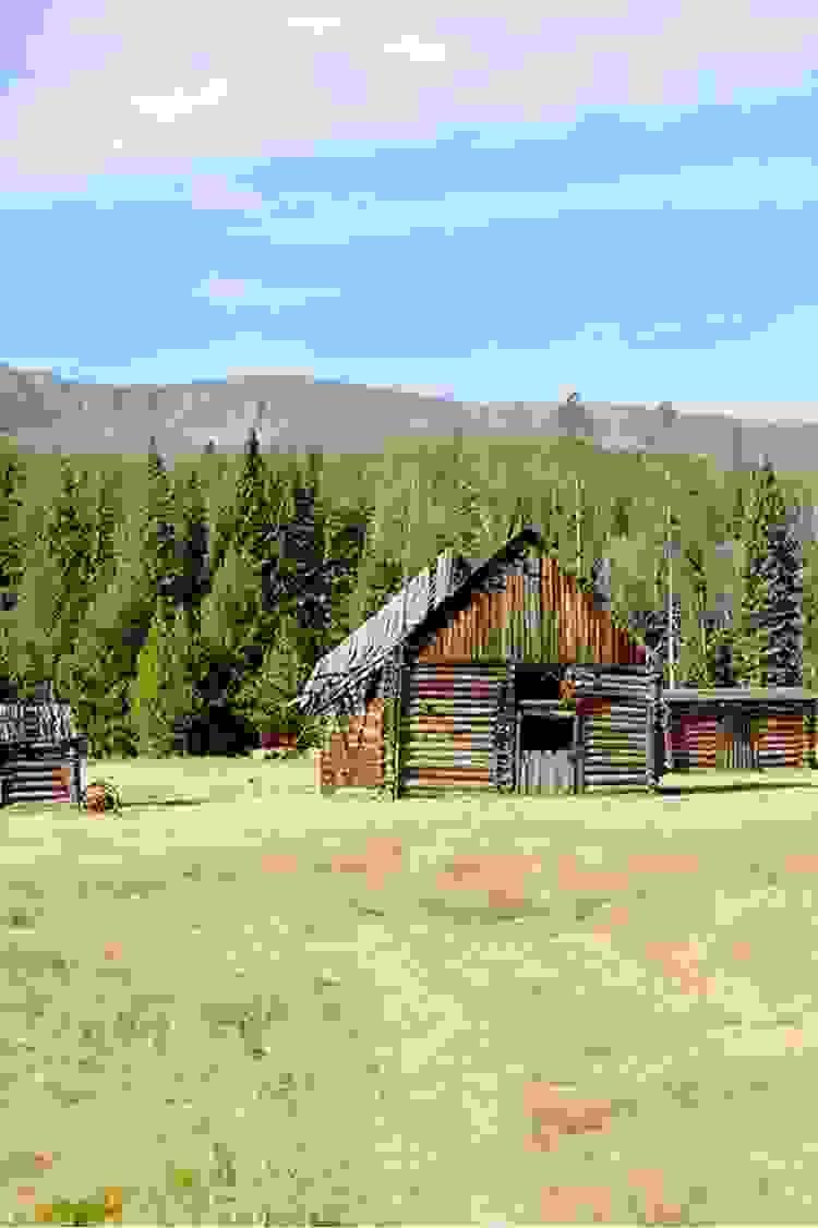 Section image