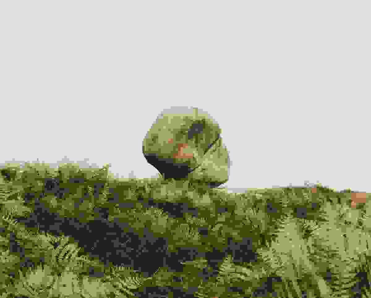 Section image