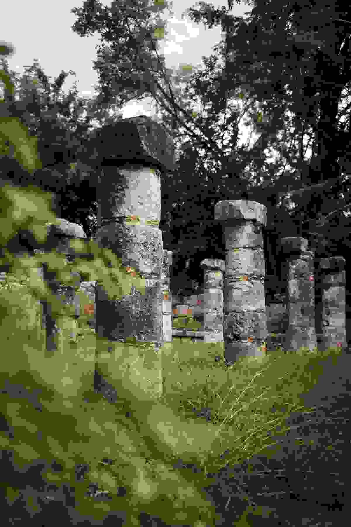 Section image