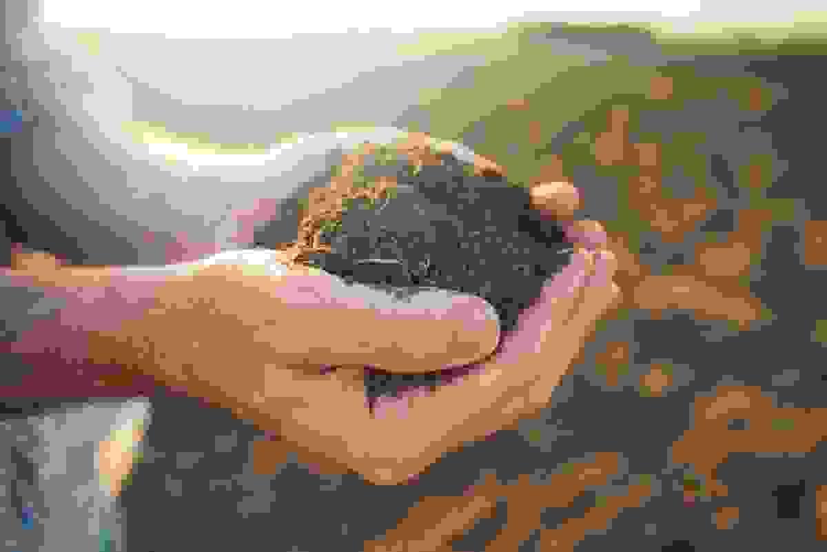 broken image