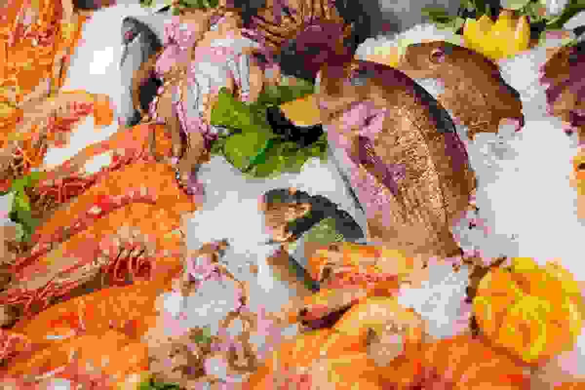 broken image