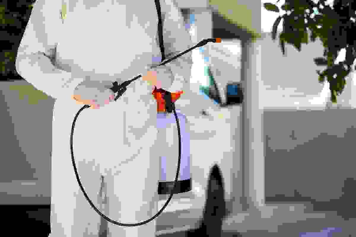 broken image