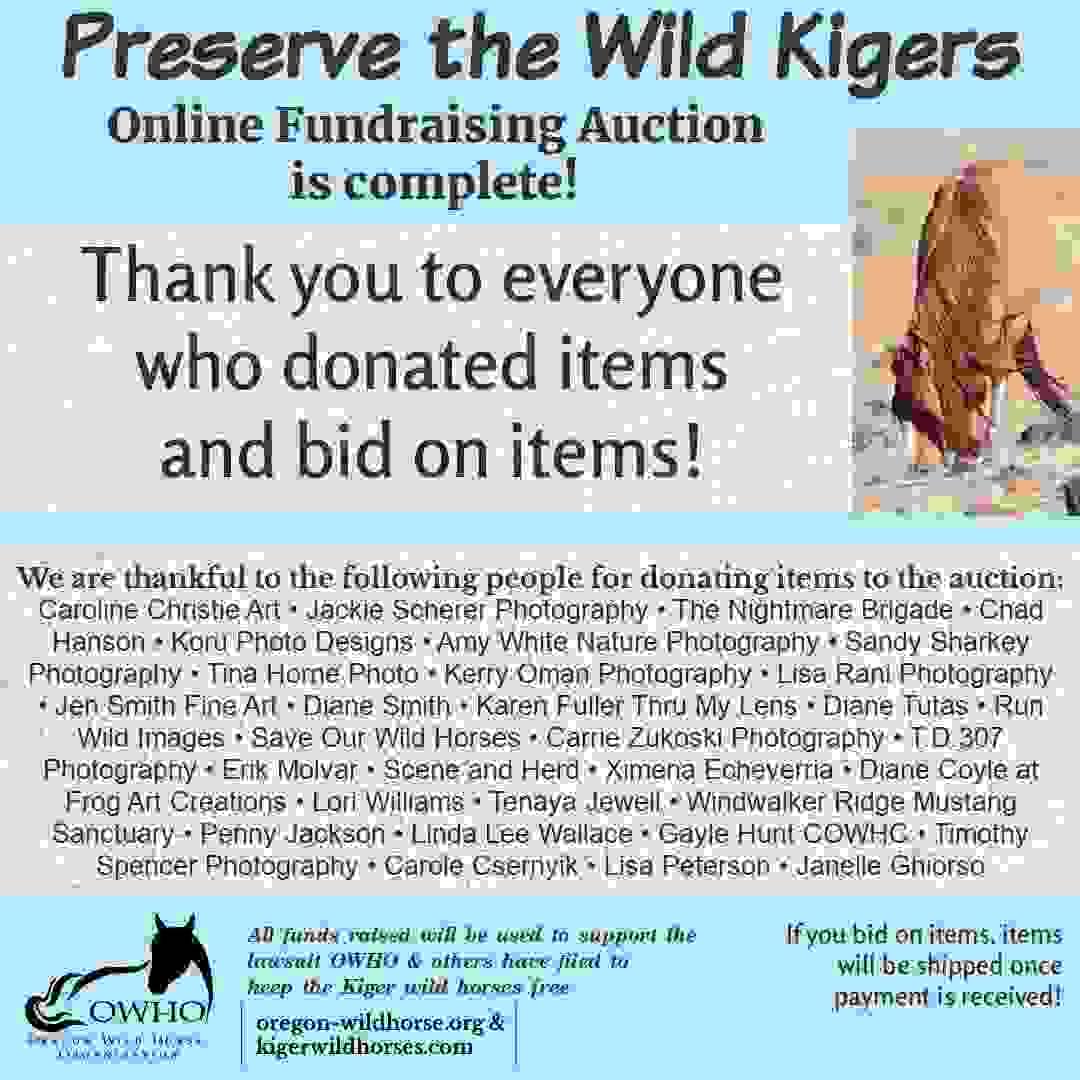 Join our mission to protect these incredible animals and their ecosystem Support the Preservation of Kiger Wild Horses Preservation and protection of the kiger wild horses, their habitat and their genetic viability within the Kiger and Riddle Mountain Horse Management Areas in Oregon. Join our mission to protect these incredible animals and their ecosystem Support the Preservation of Kiger Wild Horses Preservation and protection of the kiger wild horses, their habitat and their genetic viability within the Kiger and Riddle Mountain Horse Management Areas in Oregon.
