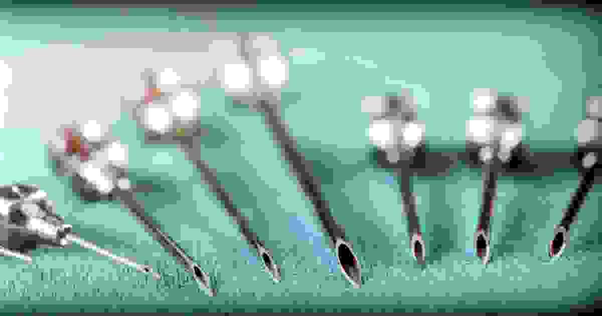 broken image