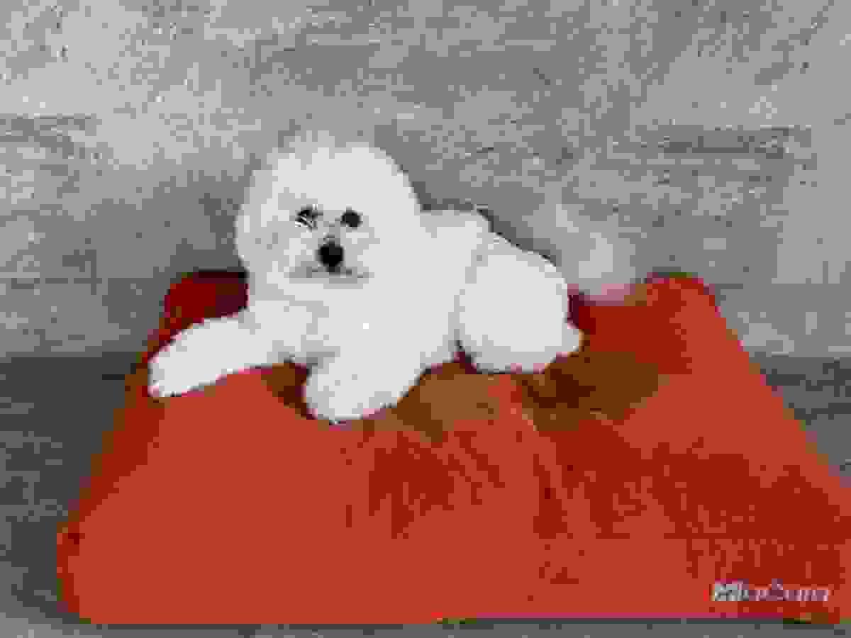broken image