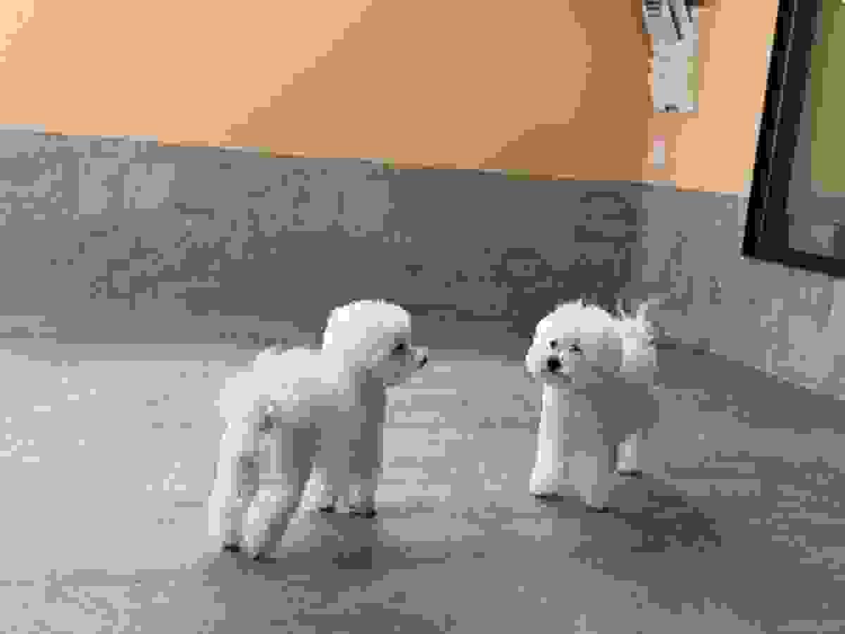 broken image