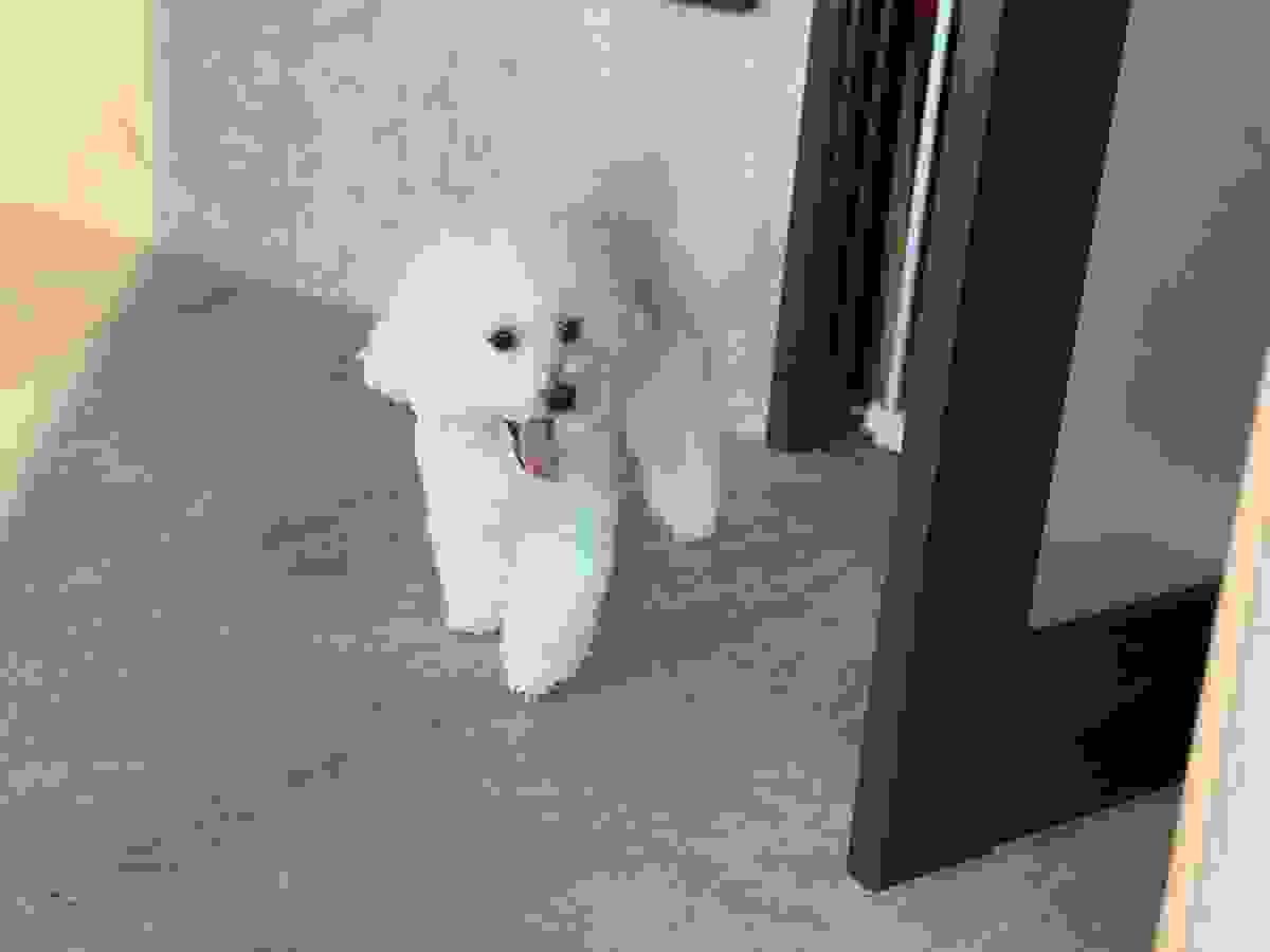 broken image