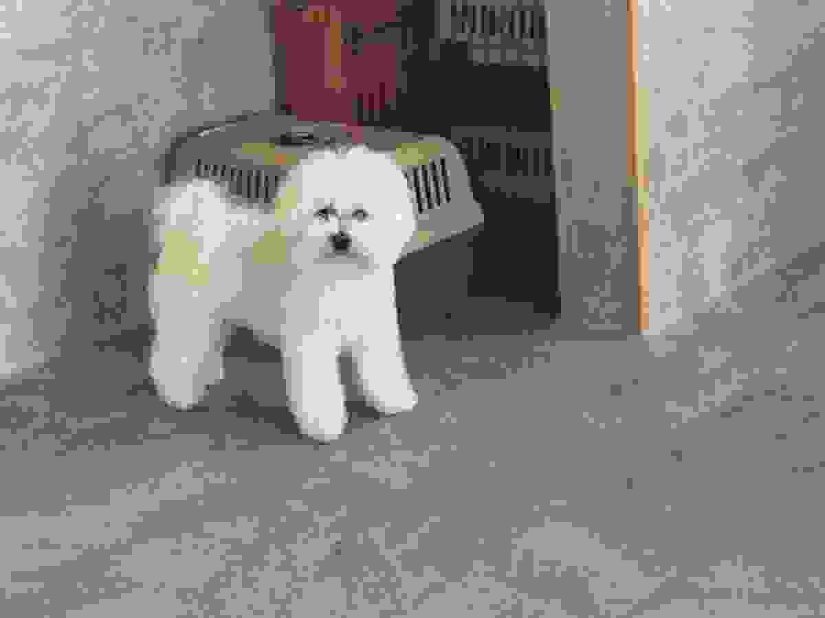 broken image