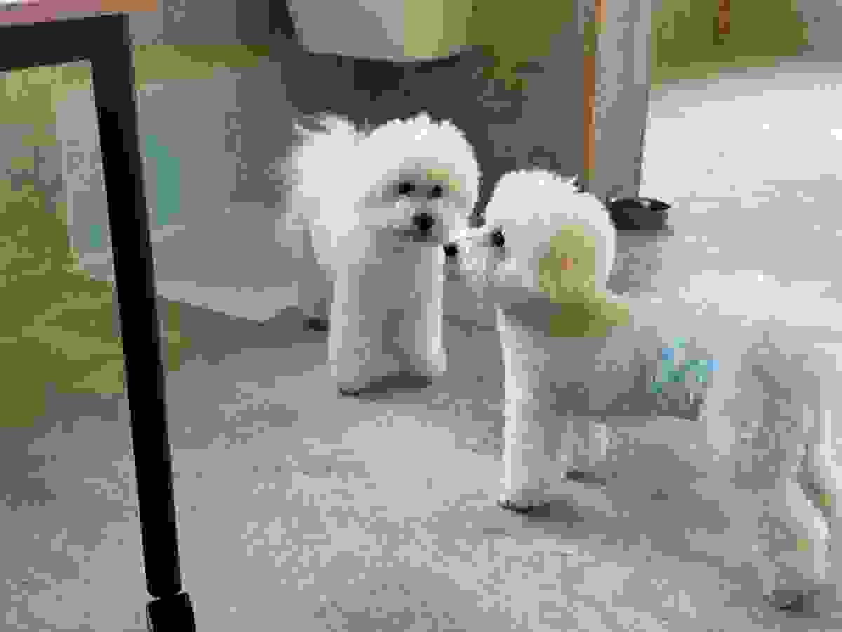 broken image