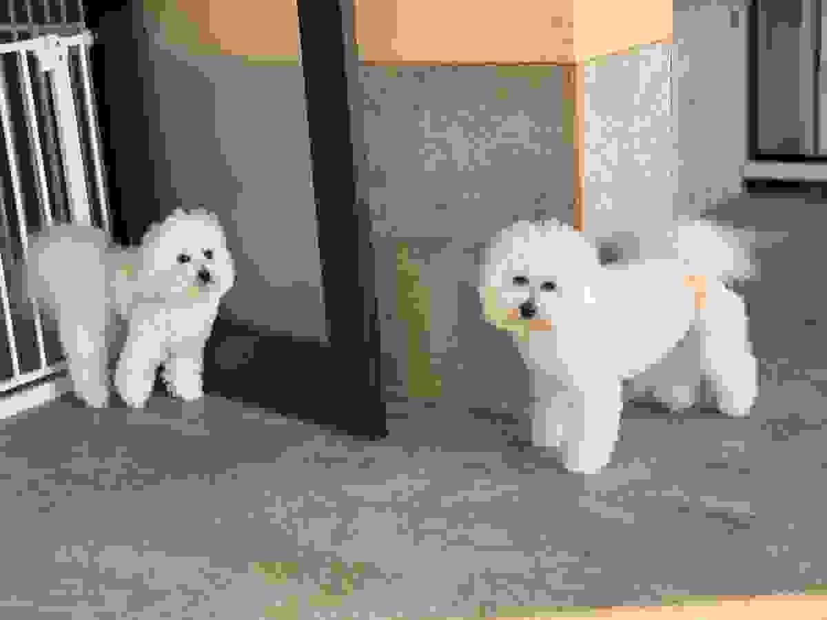 broken image