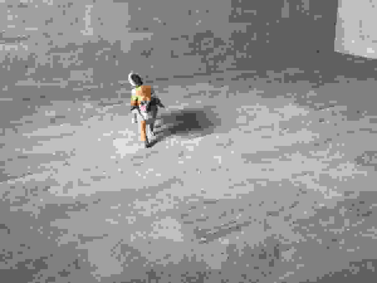 Section image