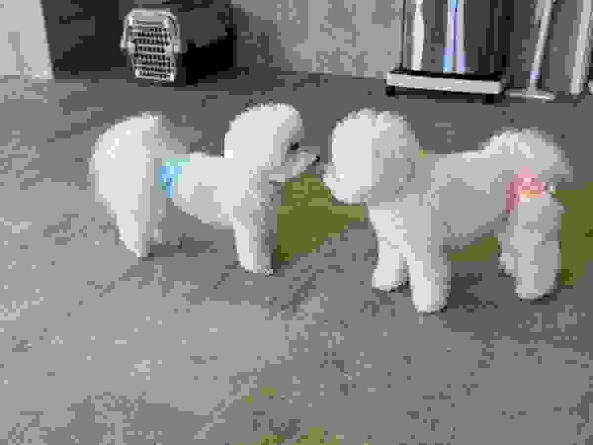 broken image