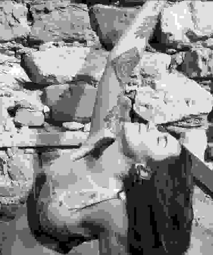 Section image