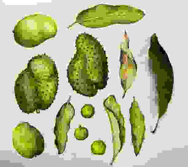 broken image