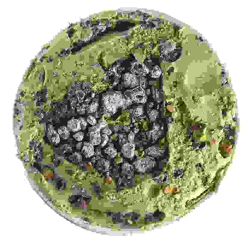 Section image