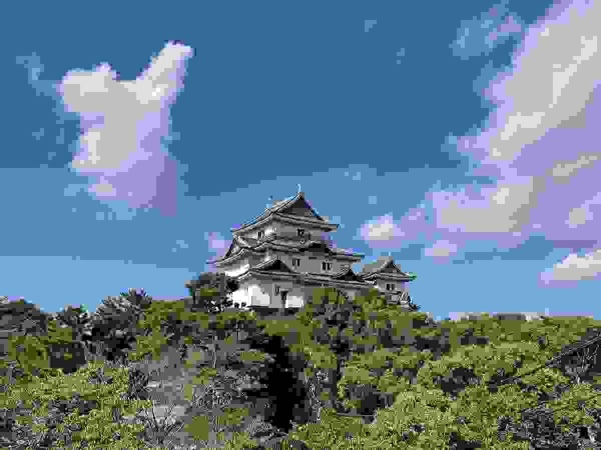 Section image