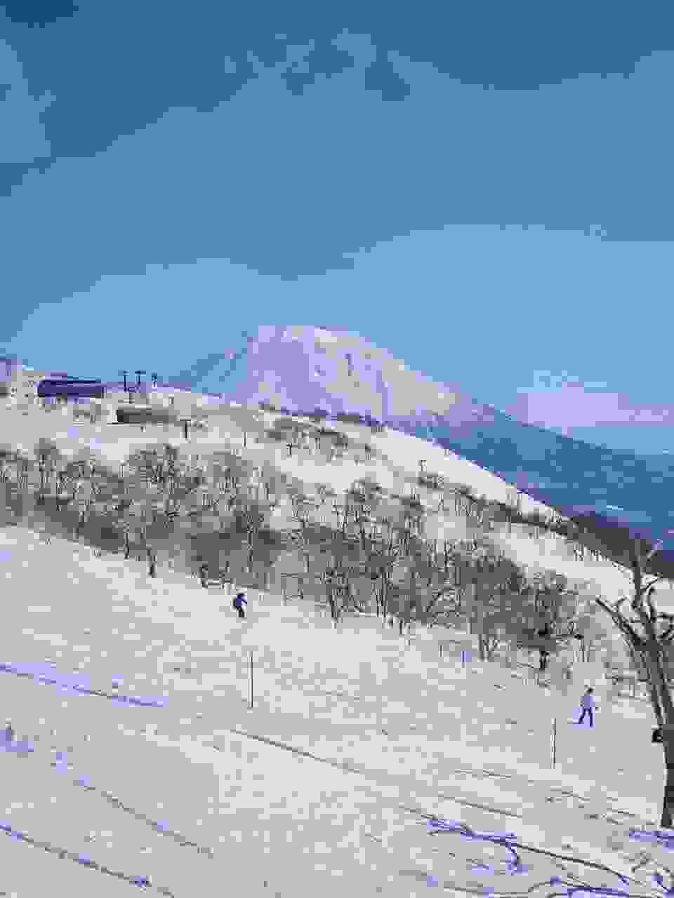 broken image