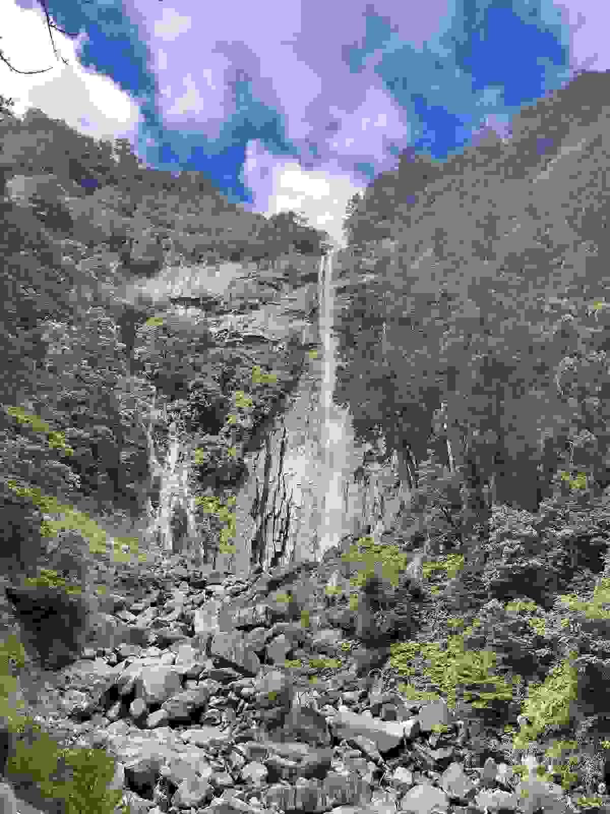 Section image