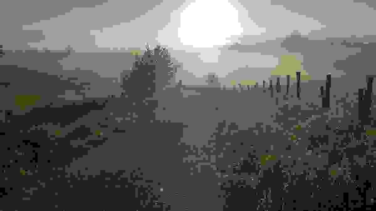 broken image