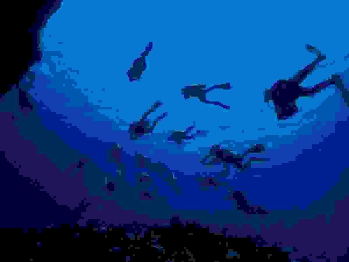 Section image