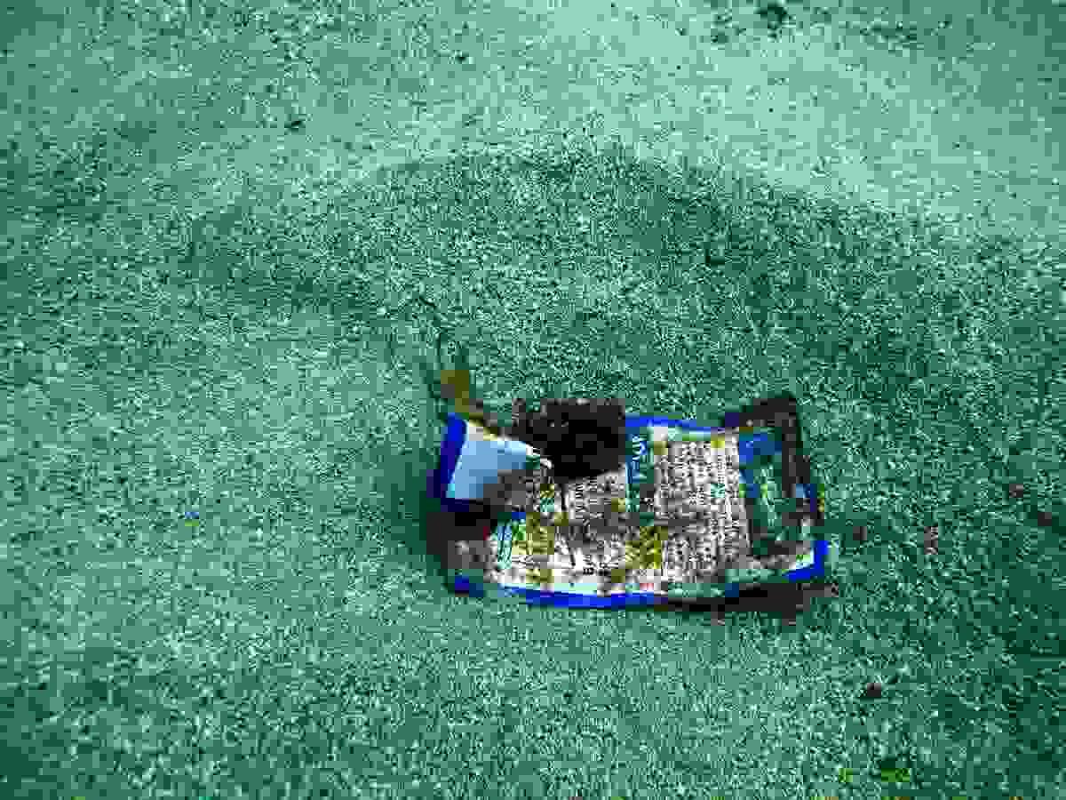 Section image