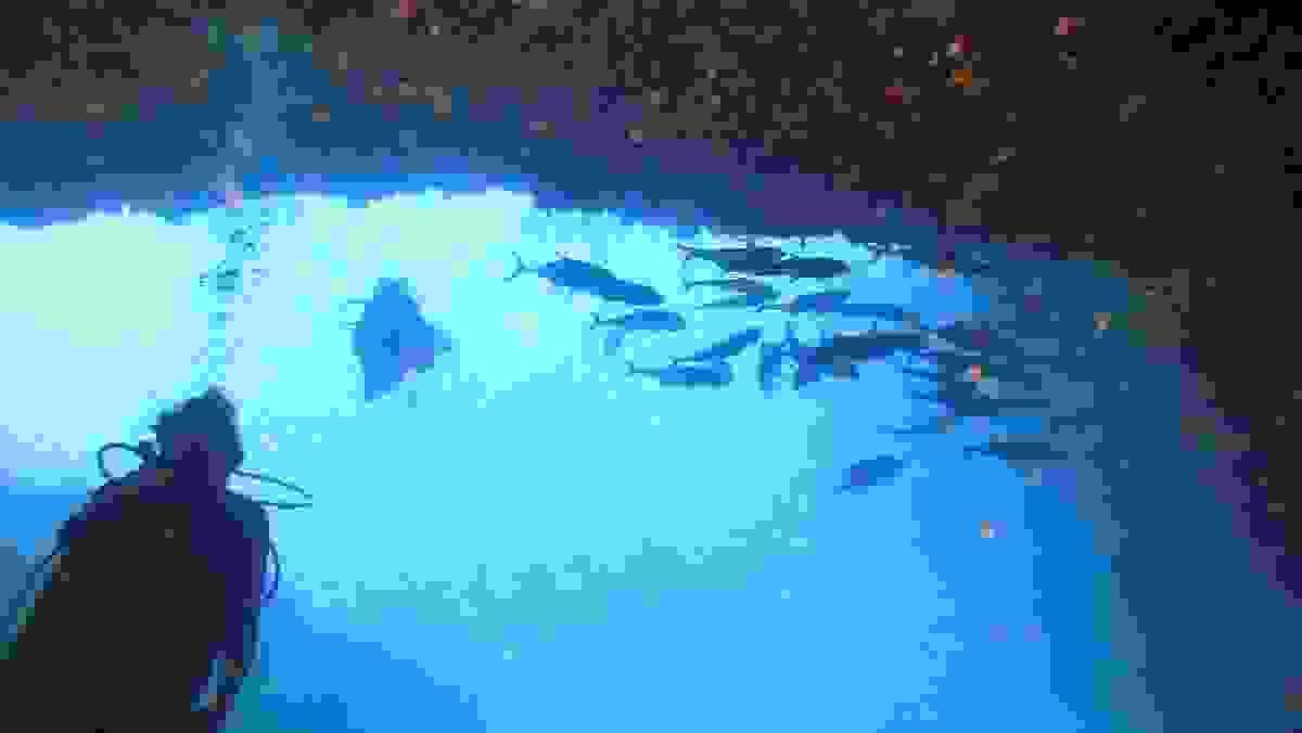 Section image