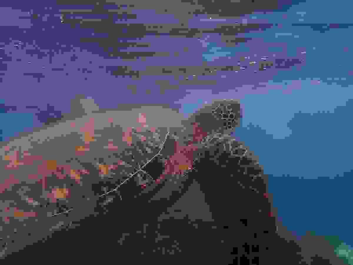 Section image